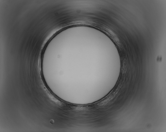 X0000089420796200707131821