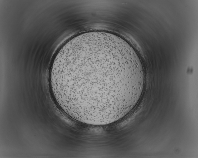 X0000089420798200707131821
