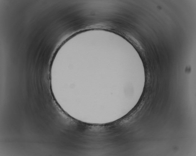 X0000089420800200707131821