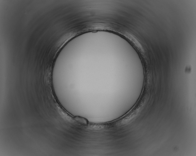X0000089420801200707131821
