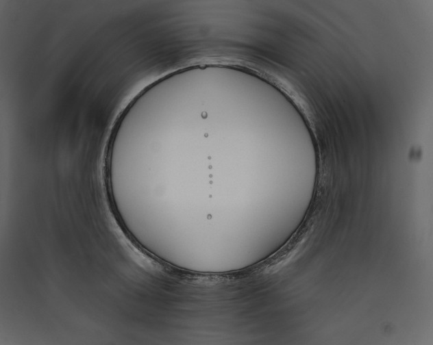 X0000089420803200707131821