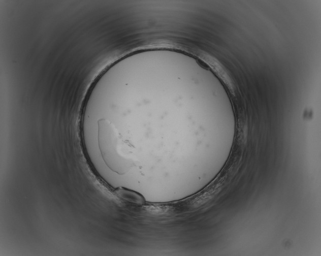 X0000089420805200707131821