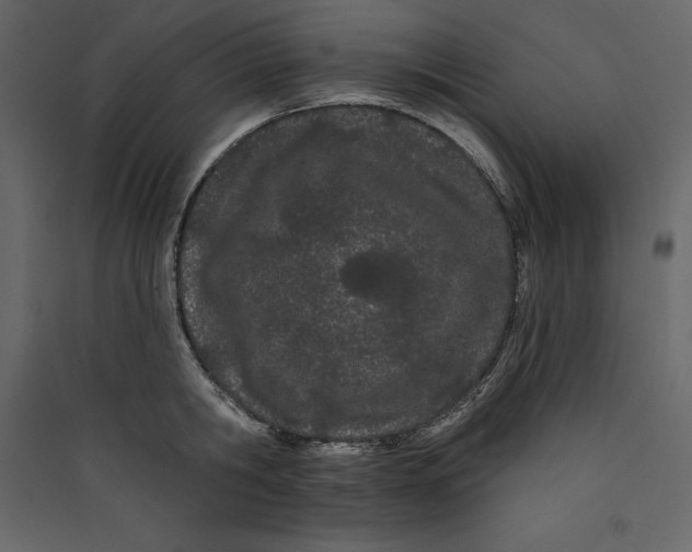 X0000089420806200707131821