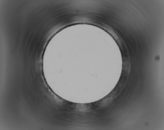 X0000089420807200707131821