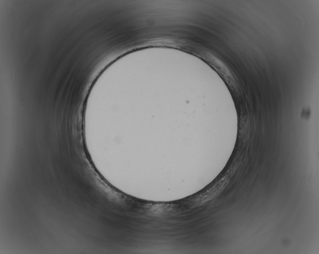 X0000089420808200707131821