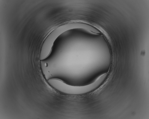 X0000089420809200707131821