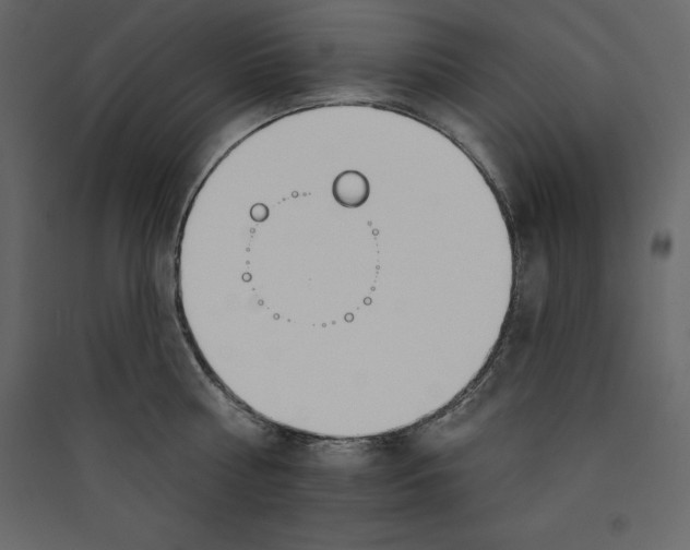 X0000089420810200707131821