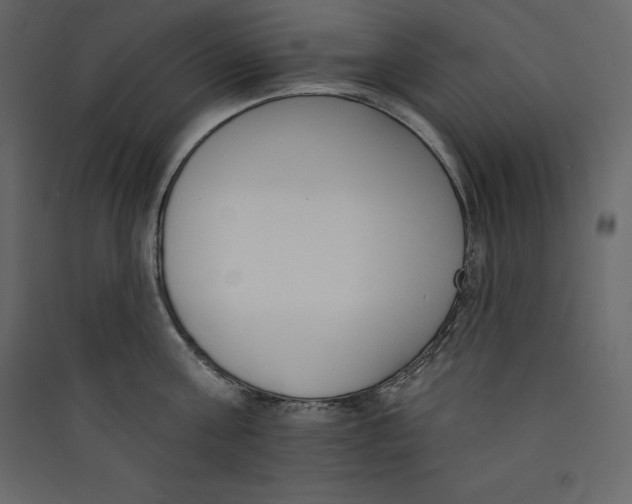 X0000089420811200707131821