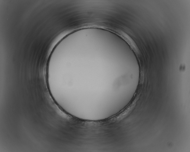 X0000089420812200707131821