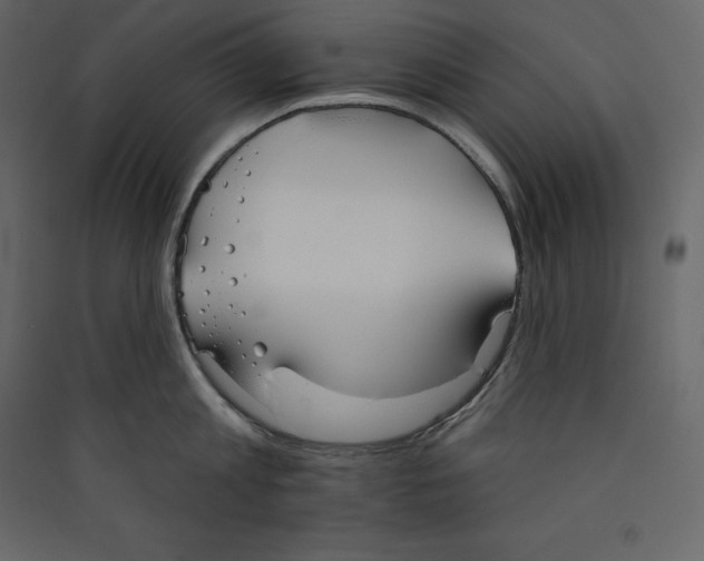 X0000089420813200707131821