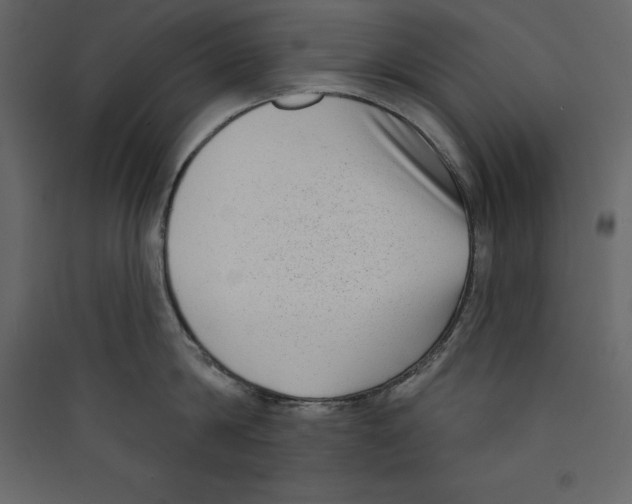 X0000089420814200707131821