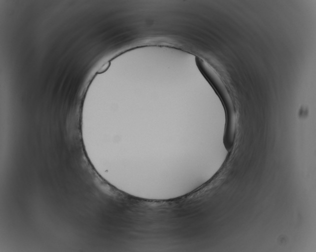 X0000089420816200707131821