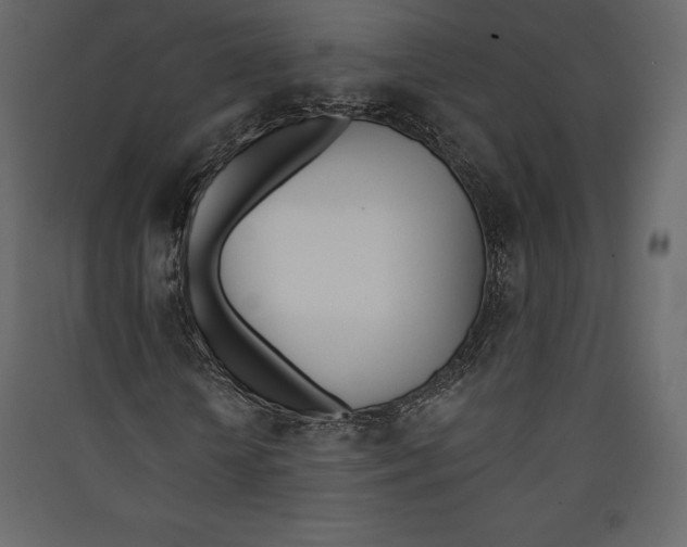 X0000089420818200707131820
