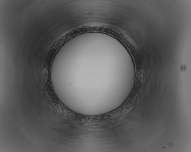 X0000089420821200707131820