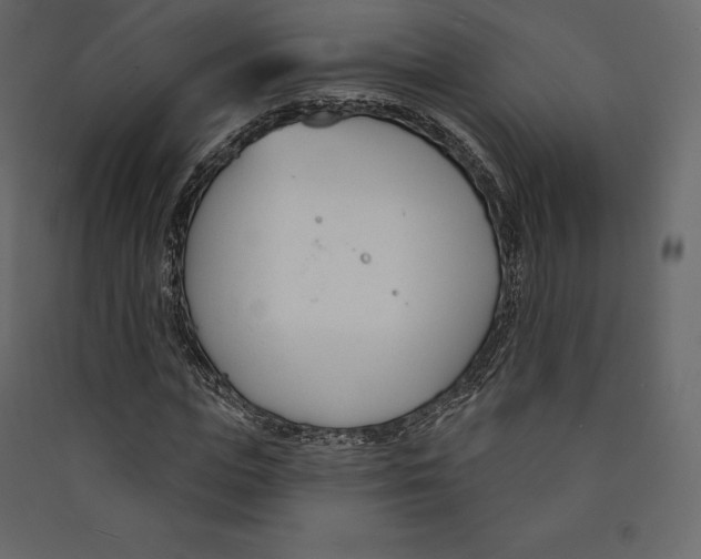 X0000089420823200707131820