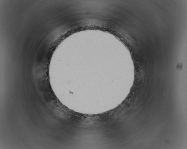 X0000089420824200707131820