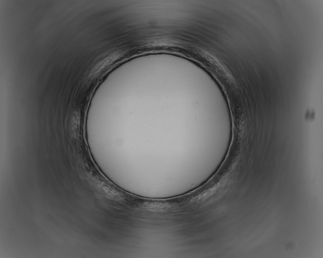 X0000089420825200707131820