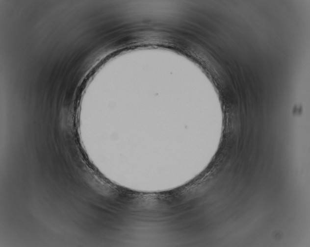 X0000089420828200707131820