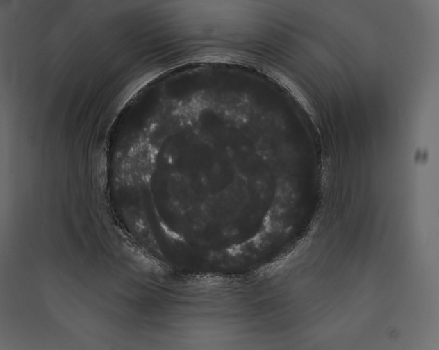 X0000089420829200707131820