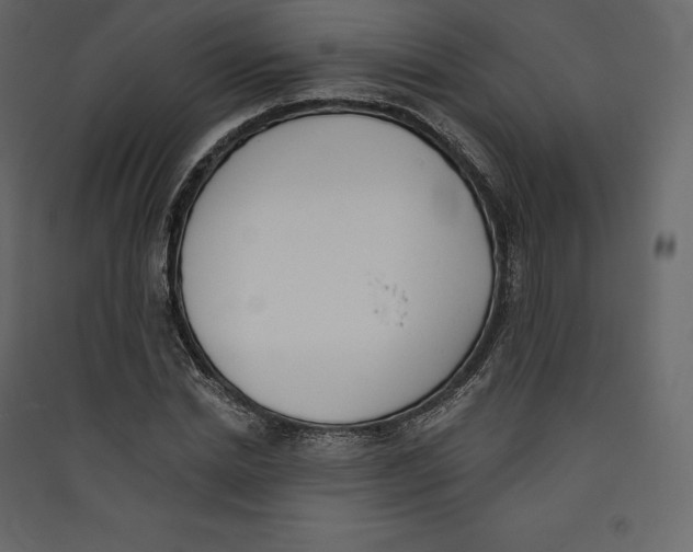 X0000089420830200707131820
