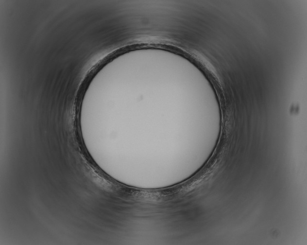 X0000089420831200707131820