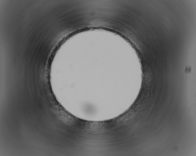 X0000089420832200707131820