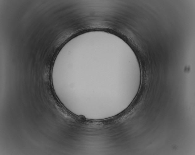 X0000089420833200707131820