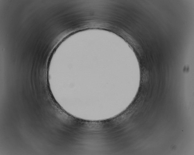 X0000089420836200707131820