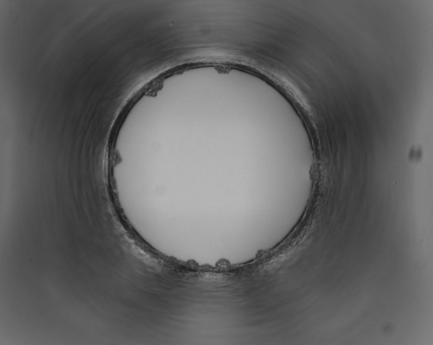 X0000089420839200707131820
