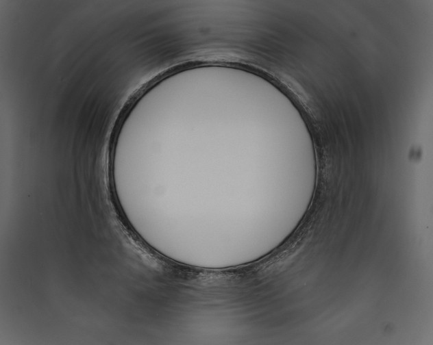 X0000089420840200707131820
