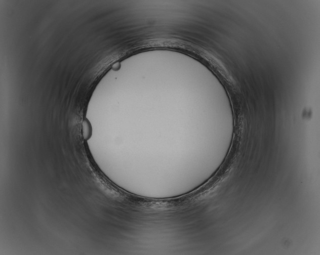 X0000089420841200707131820