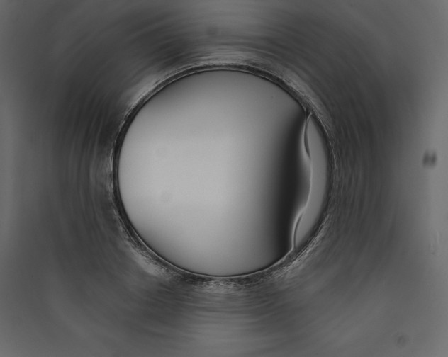X0000089420842200707131820