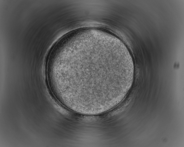 X0000089420843200707131820