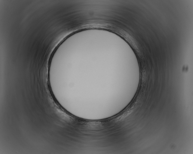 X0000089420844200707131820