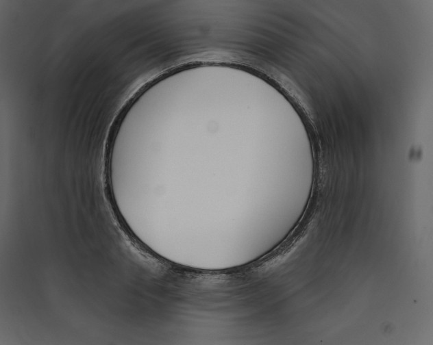 X0000089420845200707131820