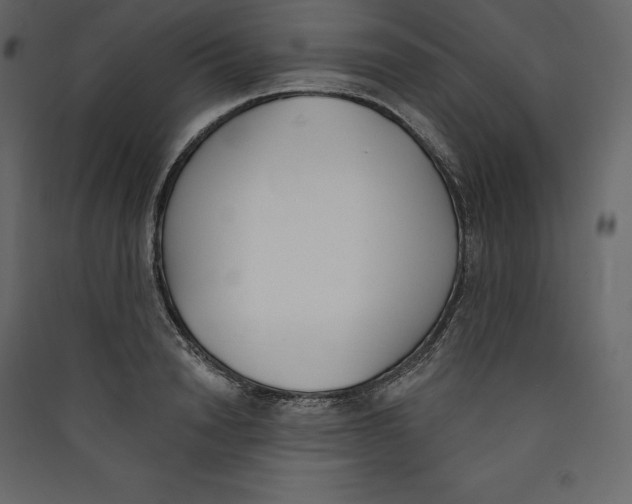 X0000089420846200707131820