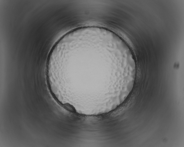 X0000089420847200707131820