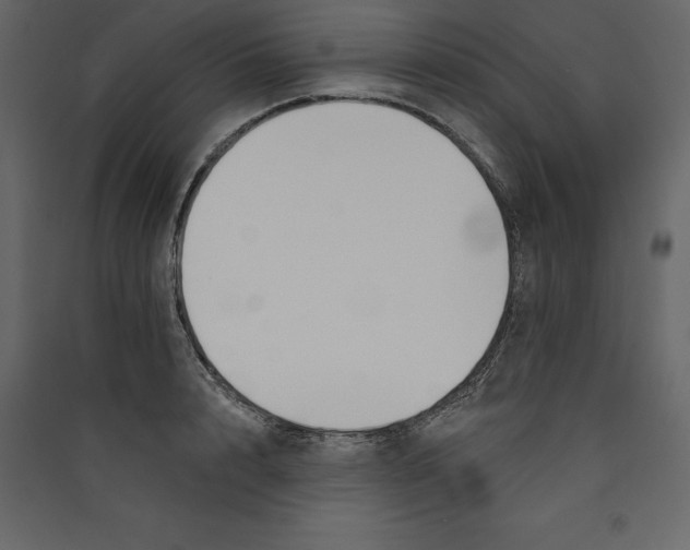 X0000089420848200707131820