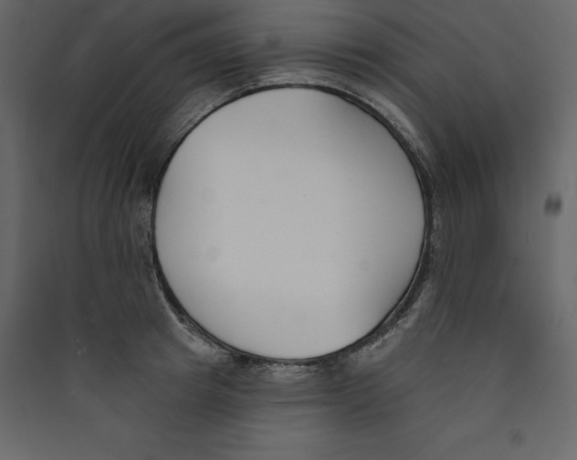 X0000089420849200707131821