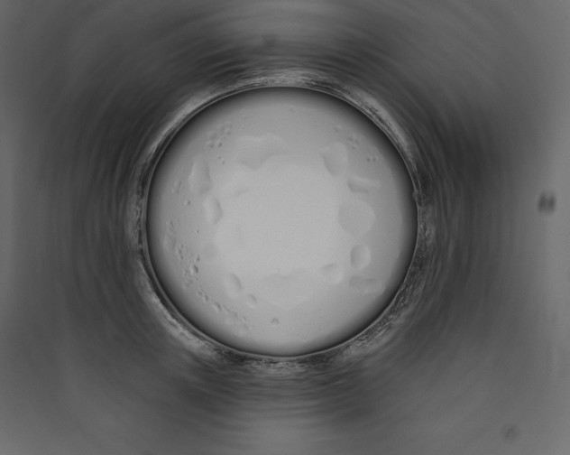X0000089420851200707131821