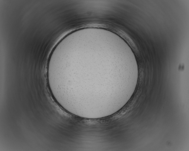 X0000089420852200707131821