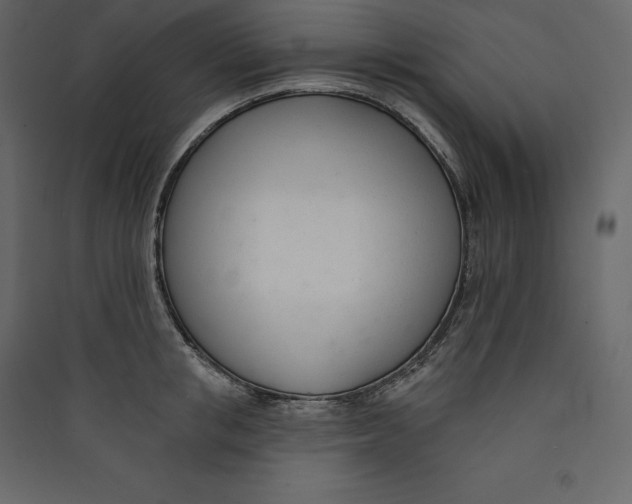 X0000089420853200707131821