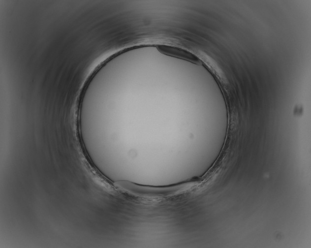 X0000089420854200707131821