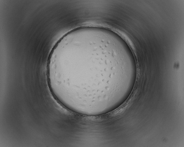X0000089420855200707131821