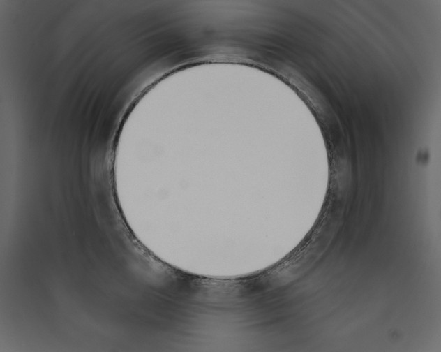 X0000089420856200707131821