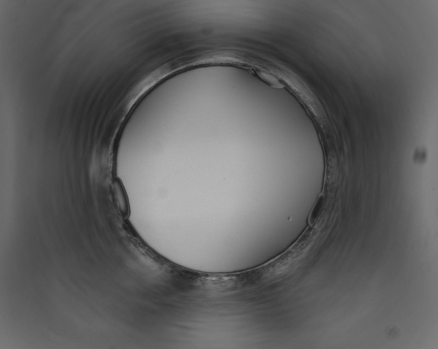 X0000089420858200707131821