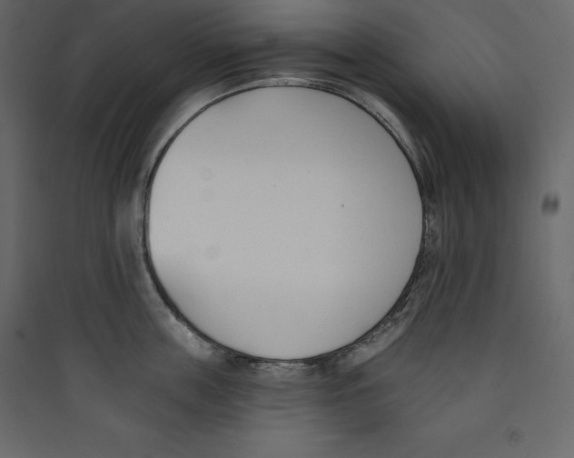 X0000089420859200707131821