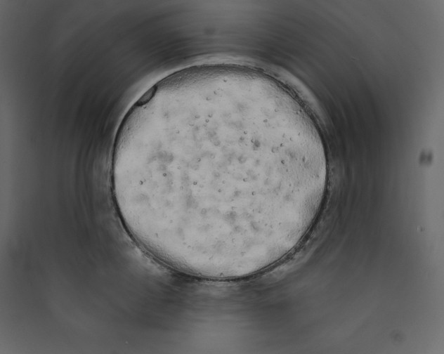 X0000089420860200707131821