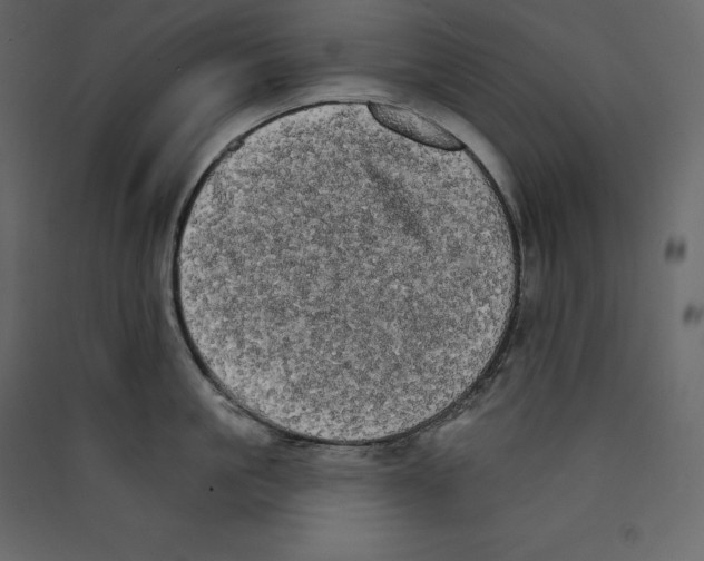 X0000089420861200707131821