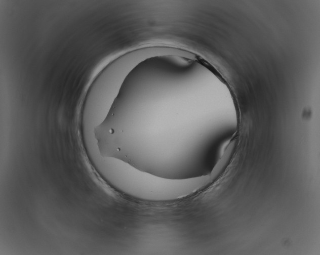 X0000089420862200707131821